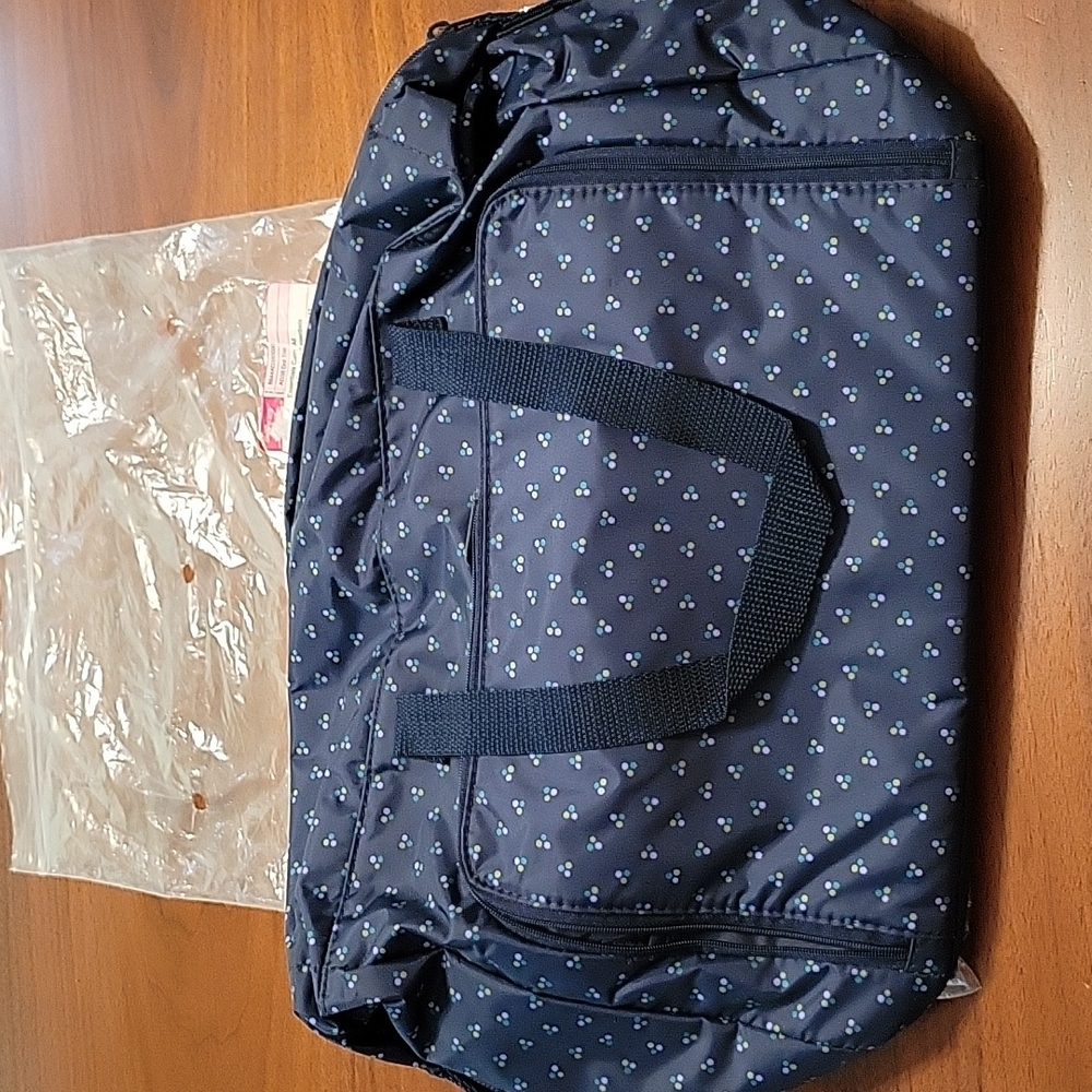 Brand new thirty-one Essentials Carry-All